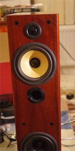 Repaired speaker