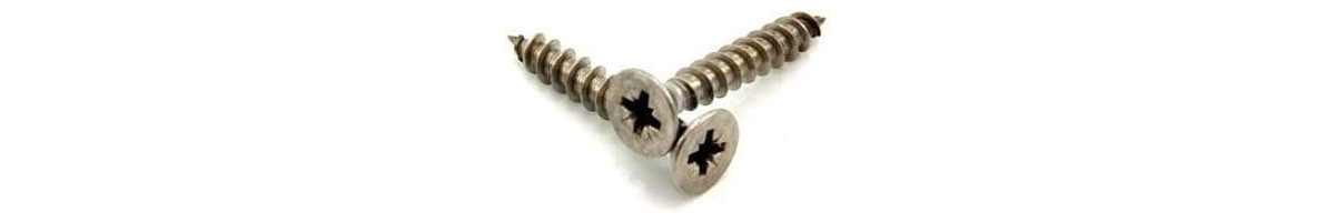 Stainless Steel Screw 