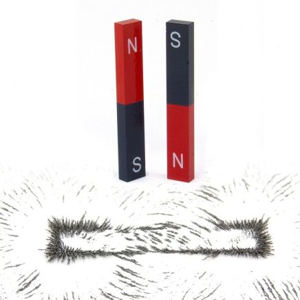 Educational Alnico Bar Magnets & Iron Filings Set - Science & Education