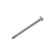 SCREWD 1-3/16 in. Zinc-Plated Flat Head Nails