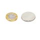 N42 Neodymium Adhesive Disc Magnet - 1 in. dia x 1/16 in. thick - 7.71lbs Pull