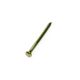 SCREWD 1 in. Brass-Plated Semi-Round Head Nails