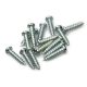 SCREWD Self-Tapping Screw 3/16 in. x 1 in.