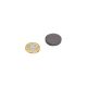 Y10 Ceramic Disc Magnet with Adhesive Foam Pad - 1 in. dia x 3/16 in. thick - 1.32lbs Pull