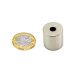 N42 Neodymium Diametrically Magnetised Cylindrical Disc Magnet - 13/16 in. dia x 13/16 in. thick